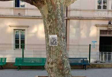 Jardinière finale.png